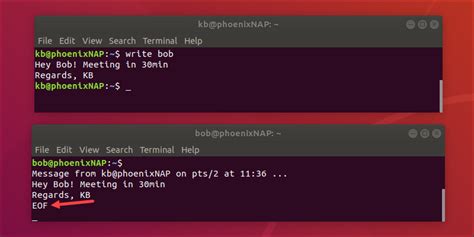 2 Writing and Running Commands .